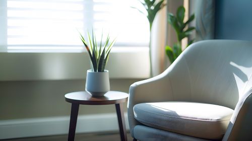 Chair next to plant in sunny office